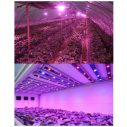 630nm 1W 3W SMD3535 Red High Power LED Applications thumbnail