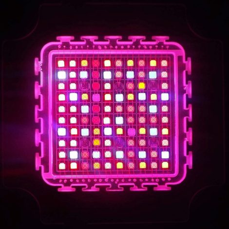 Custom 100W High Power LED for Plants Growing Light Enlarged Image